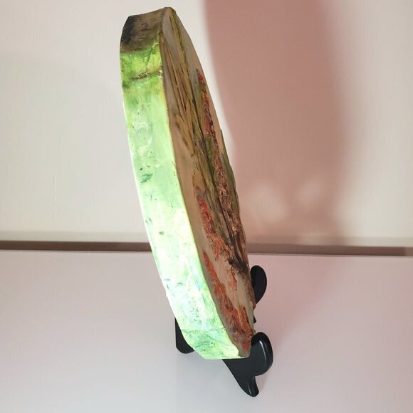 Botanical Relief Casting in Plaster with Hand Painted Watercolors Original - Picture 5 of 6